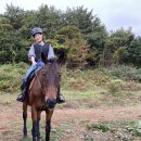 [제주 서귀포] 방울이와 교감하며 승마 | 산록목장 C코스