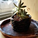 이도세탁소 이미지