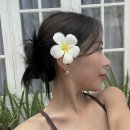 아우라컬러 이미지