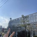 세아조경(주) | 디올성수, 디올 스키캡슐 이벤트 초대 후기