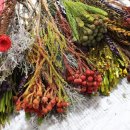 장안꽃시장 이미지