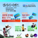 대박갤러리 이미지