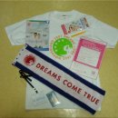 [콘서트후기]DREAMS COME TRUE WONDERLAND 2007 In Tokyo National Stadium
