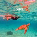 11500-13-50-07 | 보홀 호핑투어 발리카삭 거북이 스노클링 보홀여행 필수코스 후기