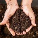 사람이랑 흙이랑 이미지