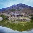 정선 여행 추천 — 레일바이크와 아리힐스로 즐기는 1박 2일