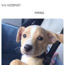 뚱형