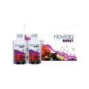 메디앤메디 이미지