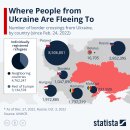 [펌] 우크라이나 전쟁-우크라 인구절벽, 매일 한대씩 격추되는 수호이? 이미지