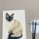 채색화 초급 이미지