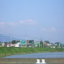 동강1리 이미지