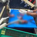 제주 이색 놀거리 제주도 배낚시 체험 "승룡호" 참돔 타이라바 낚시부터 승룡수산 손질까지 솔직후기