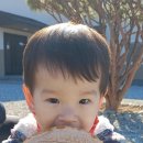 지리산약초관광농원 이미지