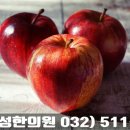 경희애플한의원 이미지