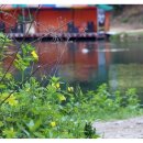 용면파크낚시터 이미지