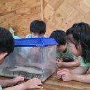 바다의별유치원 이미지