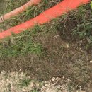 김재연농장 이미지