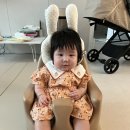 나비잠하우스 | [육아일기] 👶🏻 156일~165일
