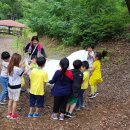 해안초교병설 이미지