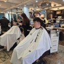 미스터장미용실 이미지