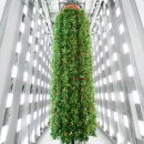 연중농장 이미지