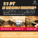 팀윤짐송도
