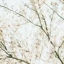 문구세상