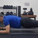 코아루이지움 이미지