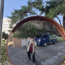 이승미축사 이미지