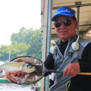 물반고기반낚시터 이미지