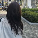 타미리스 | 부스스한 반곱슬 머리, 탈매직 1년 훌쩍 넘은 후기