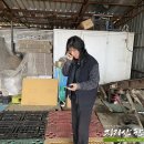 지리산 태양광발전소 이미지