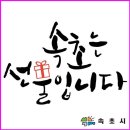 속초시청 이미지