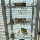 라즈베리힐 이미지