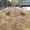 대구지봉초등학교 이미지