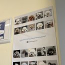 대방동물병원 | 신대방삼거리 애견미용실 ‘고마워 강아지’ 후기 🐶 상도동 가위컷 전문 미용실 발견!