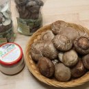 고노골농장 | 양양 고노골 표고농장 표고버섯 직거래 좋아요~