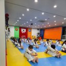 용인대스카이태권도 - 강동구 아리수로93길 9 | 용인대스카이태권도