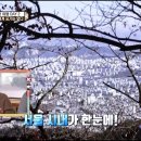 엄나무 국밥 이미지