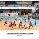 만년인삼