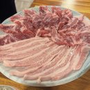 고고 268 이미지