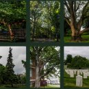 Black Body Pt Gym 이미지