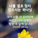 닛시 이미지