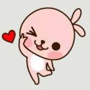 삼안여객(주) 이미지