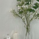 라떼 과자점 이미지