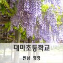 대마초등학교 이미지