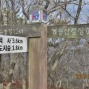 계룡산골프장 이미지