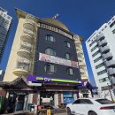 개와 사람(애견호텔) | 속초해수욕장 애견동반숙소 도글리아호텔 내돈내산 후기