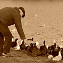 편안 안 메디케어 이미지