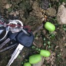 형근농장 이미지